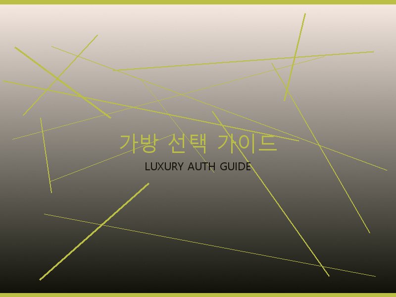 폴로 레플리카 사이트 가방 선택 가이드