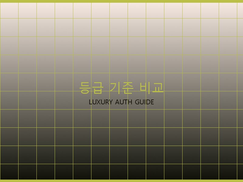 폴로 레플리카 사이트 등급 기준 비교